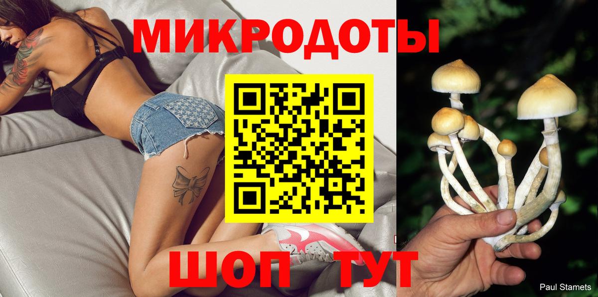 Галлюциногенные грибы Psilocybe Асино